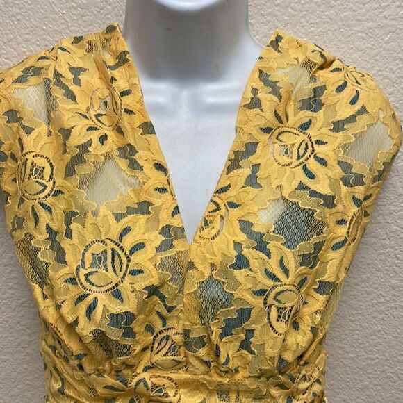 Plenty by Tracy Reese Niki Sleeveless Lace Dress Size 10 - Picture 4 of 6